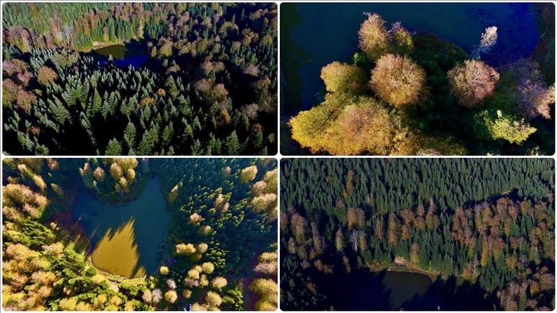 Sonbaharın renkleri fotoğrafseverleri heyecanlandırıyor