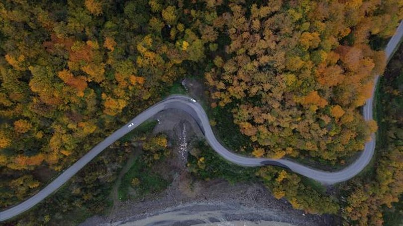 Karadeniz’de sonbahar tüm renkleriyle yaşanıyor
