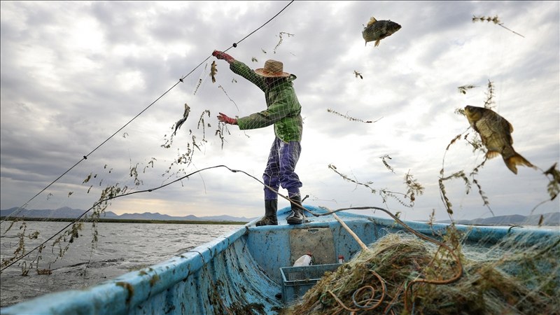 Tarım ve Orman Bakanlığı’ndan balıkçılara denetim