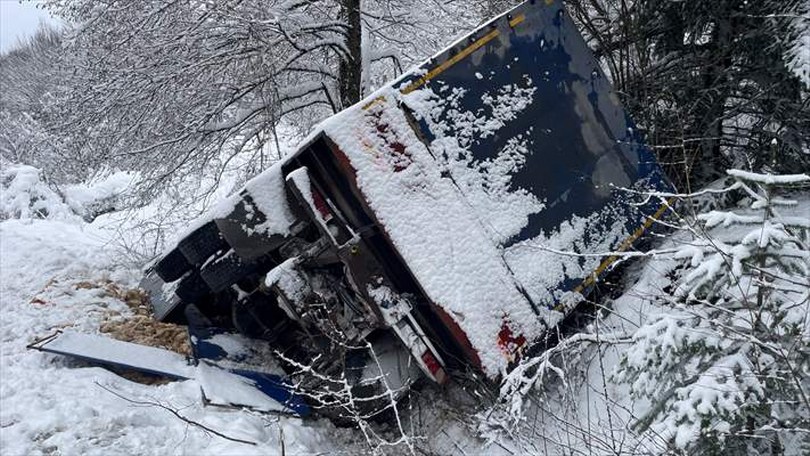 Bolu’da kamyonun devrildiği kazada onlarca tavuk telef oldu