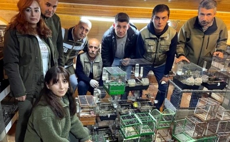 Tuzakla avlanan kuşlar özgürlüğüne kavuştu