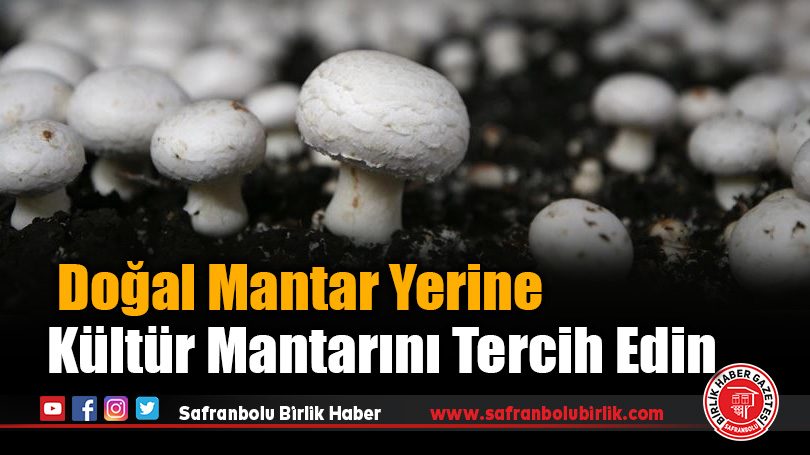 Doğal Mantar Yerine Kültür Mantarını Tercih Edin