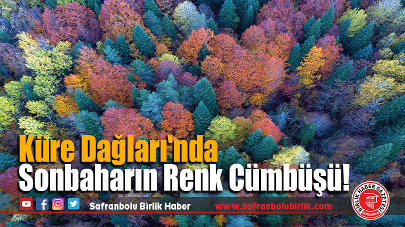 Küre Dağları’nda Sonbaharın Renk Cümbüşü!