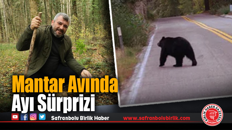 Yenice’de Mantar Avı Sırasında Başkan Ayı ile Karşılaştı
