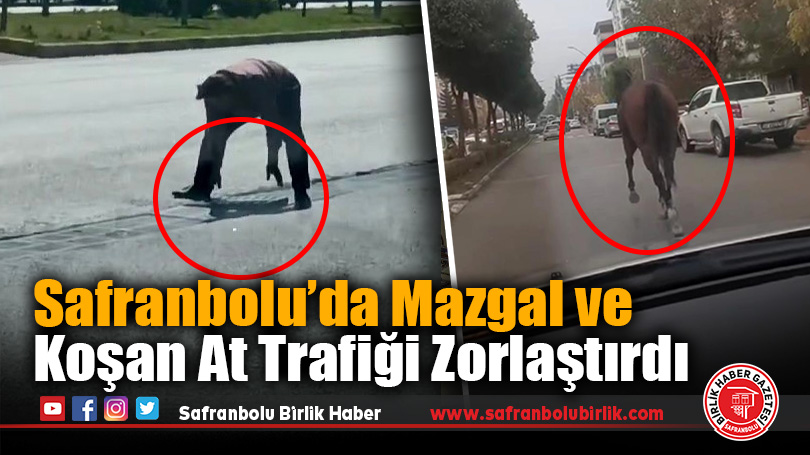 Safranbolu’da Mazgal ve Koşan At Trafiği Zorlaştırdı