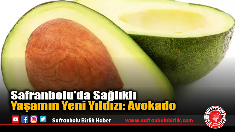 Safranbolu’da Sağlıklı Yaşamın Yeni Yıldızı: Avokado