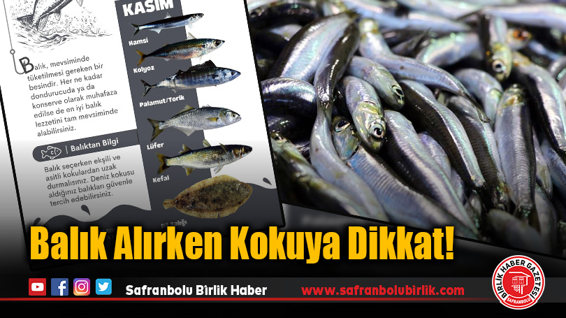 Balık Alırken Kokuya Dikkat!