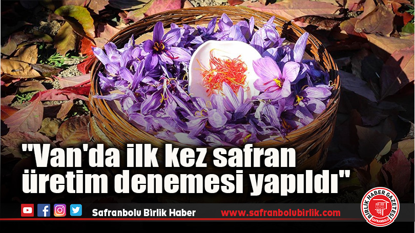 “Van’da ilk kez safran üretim denemesi yapıldı”