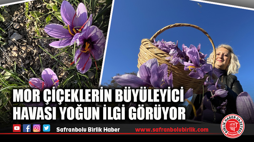 Mor Çiçeklerin Büyüleyici Havası Yoğun İlgi Görüyor