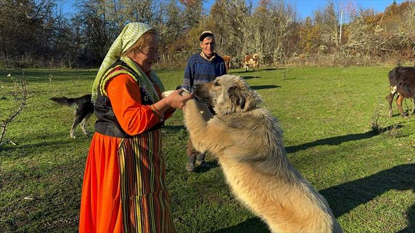 Pınarbaşı’nda Hayvancılıkla Zorlu Mücadele