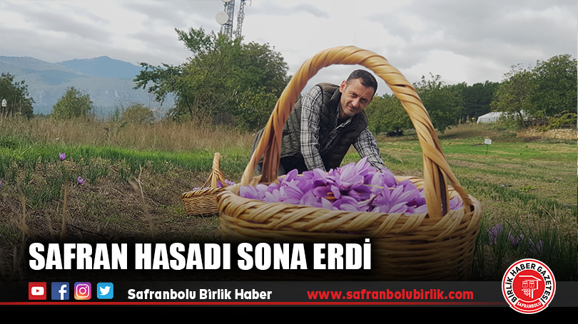 Safran Hasadı Sona Erdi