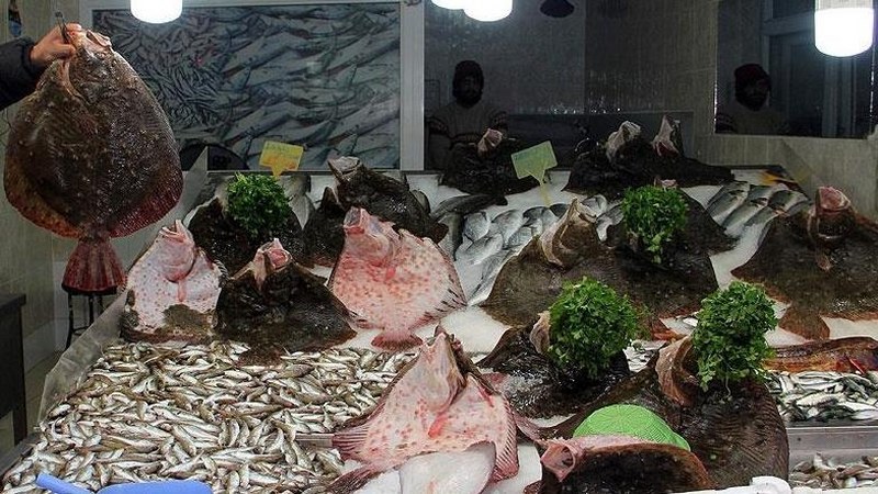 Türkiye’nin Karadeniz’deki kalkan kotasında artış