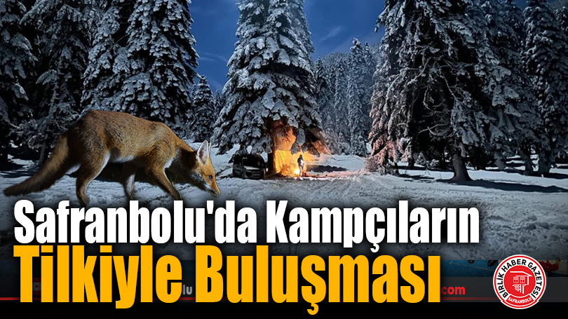 Safranbolu’da Kampçıların Tilkiyle Buluşması