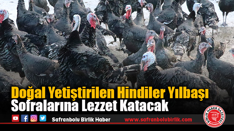 Doğal Yetiştirilen Hindiler Yılbaşı Sofralarına Lezzet Katacak