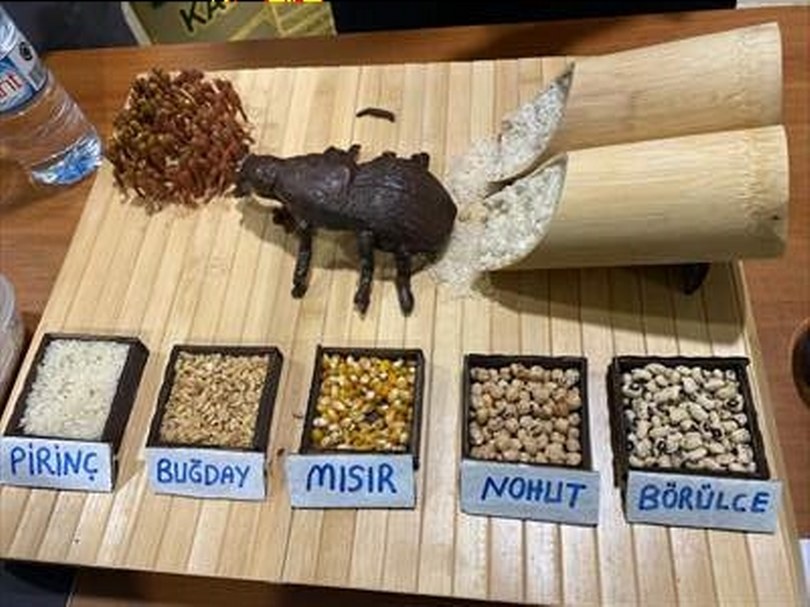 Bolu’da Depo Zararlıları Sergisi Görücüye Çıktı