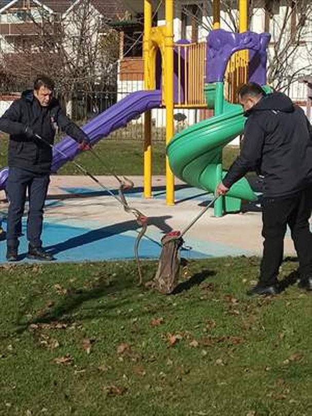 Bolu’da çocuk parkında görülen yılan yakalandı