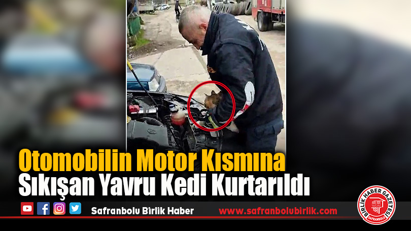 Otomobilin Motor Kısmına Sıkışan Yavru Kedi Kurtarıldı