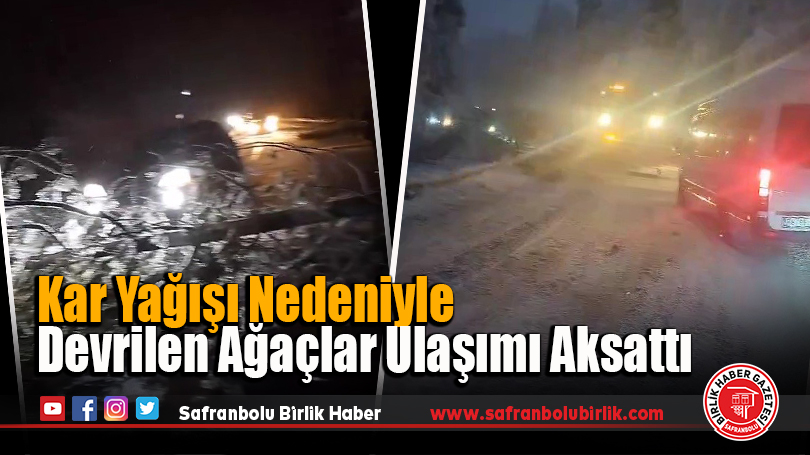 Kar Yağışı Nedeniyle Devrilen Ağaçlar Ulaşımı Aksattı
