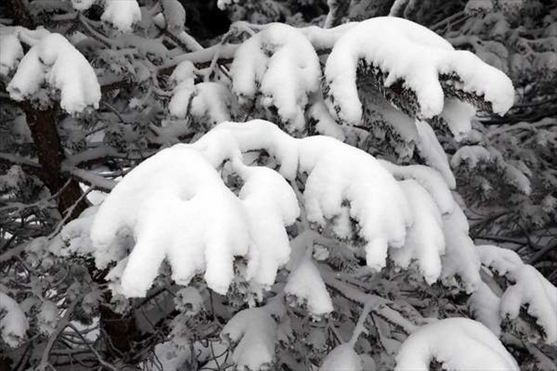 Ilgaz Dağı’nda kar ve sis etkili oldu