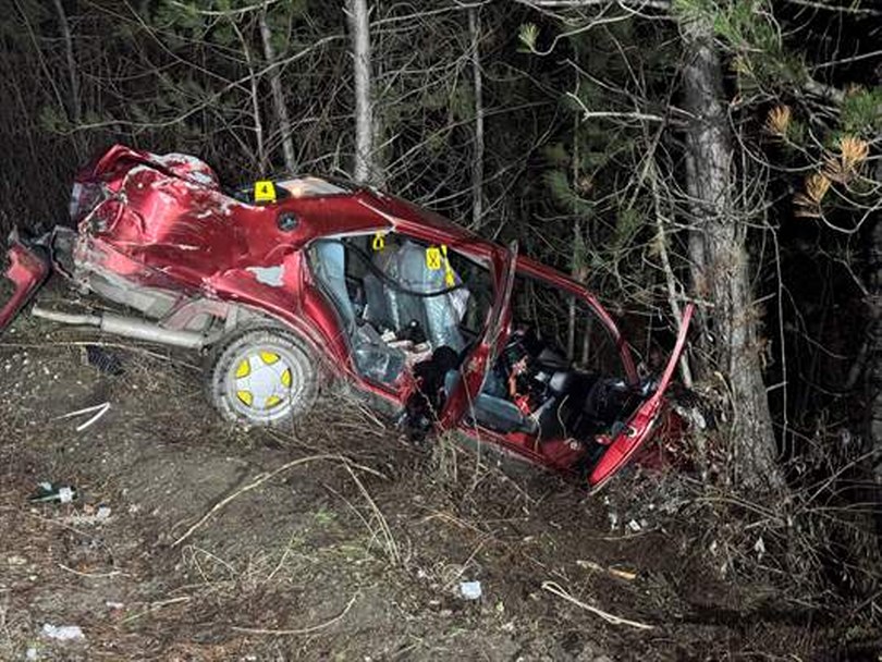 Ağaçlara çarpan otomobildeki 1 kişi öldü, 1 kişi yaralandı