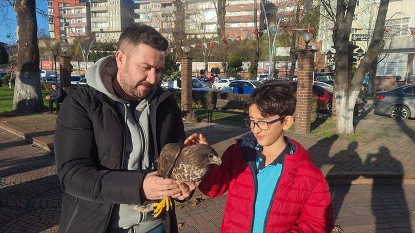 Zonguldak’ta öğretmenlerin bulduğu yaralı şahin tedaviye alındı