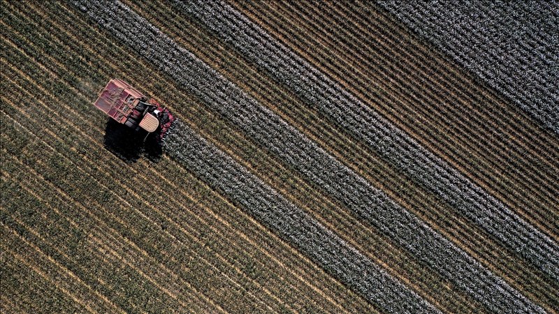 100 projeye 461 milyon lira hibe desteği