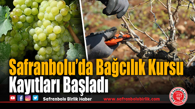 Safranbolu’da Bağcılık Kursu Kayıtları Başladı
