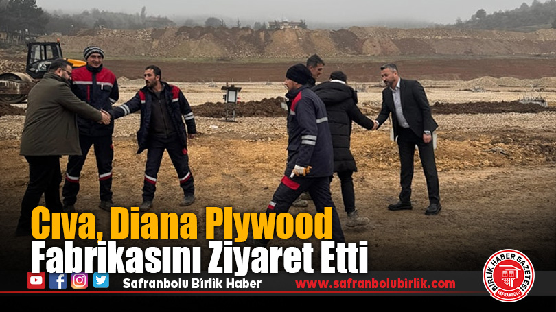 Diana Plywood, Eskipazar’a Değer Katacak