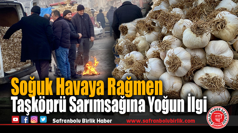 Soğuk Havalarda Taşköprü Sarımsağına Yoğun İlgi