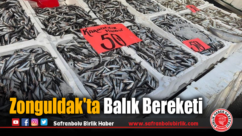 Zonguldak’ta Balık Bereketi