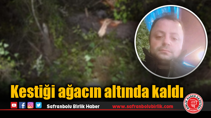Kestiği ağacın altında kaldı