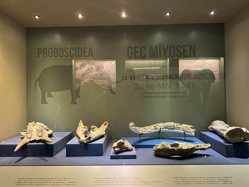 Çankırı’daki Asırlık Konak 30 Bin Ziyaretçiyi Ağırladı