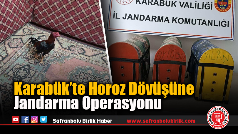 Karabük’te Horoz Dövüşüne Jandarma Operasyonu