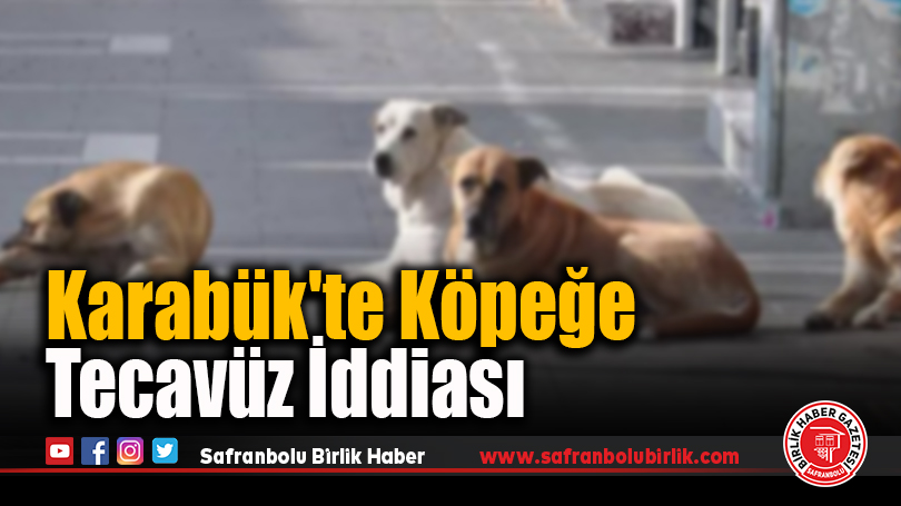 Karabük’te Köpeğe Tecavüz İddiası