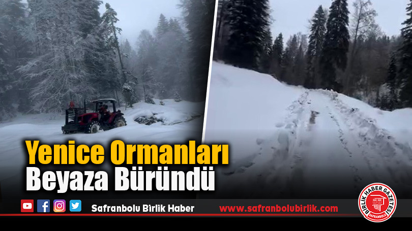 Yenice Ormanları Beyaza Büründü