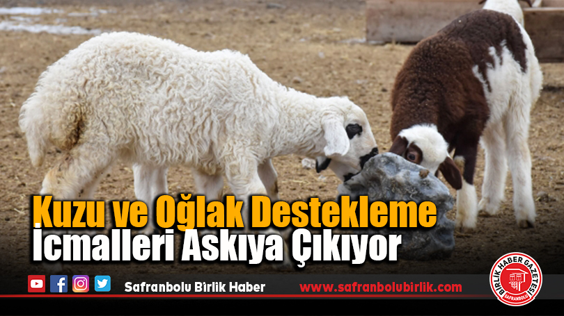 Kuzu ve Oğlak Destekleme İcmalleri Askıya Çıkıyor