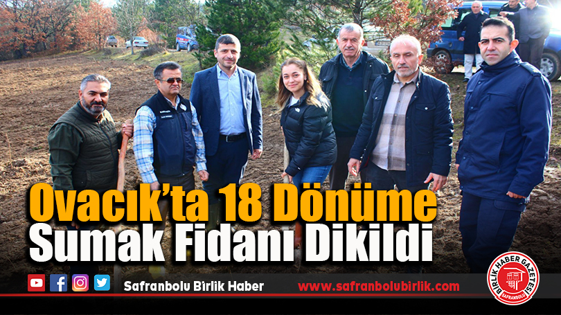 Ovacık’ta 18 Dönüme Sumak Fidanı Dikildi