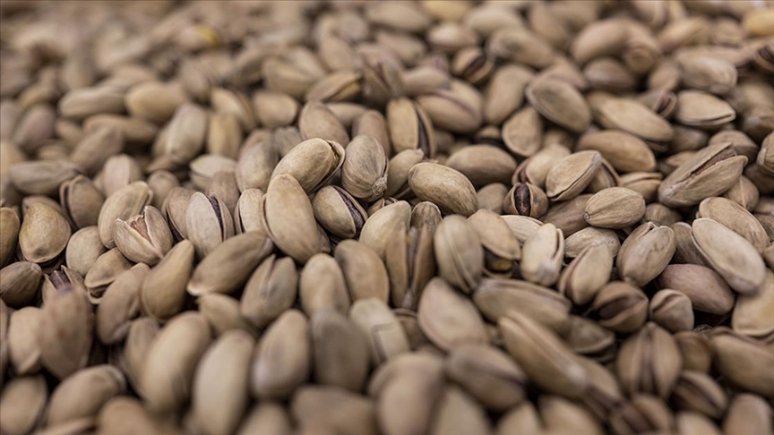 Türkiye’den 2024 yılında 229 milyon dolarlık fıstık ihraç edildi