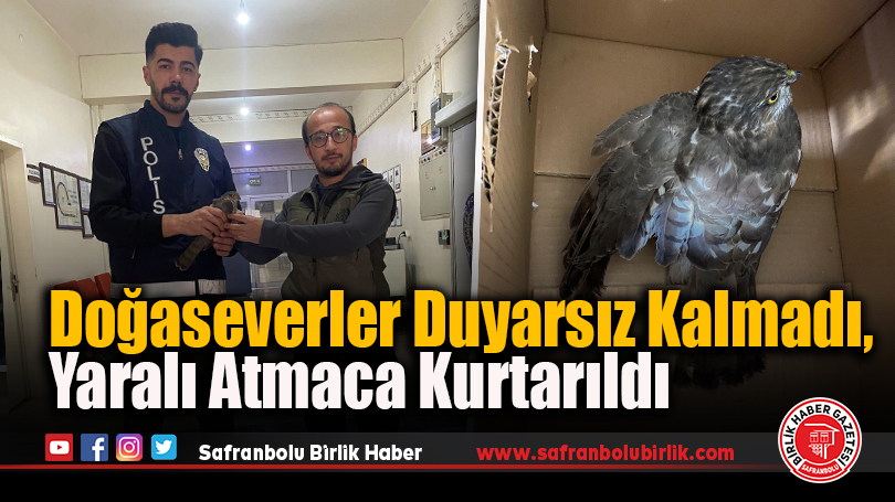 Doğaseverler Duyarsız Kalmadı, Yaralı Atmaca Kurtarıldı