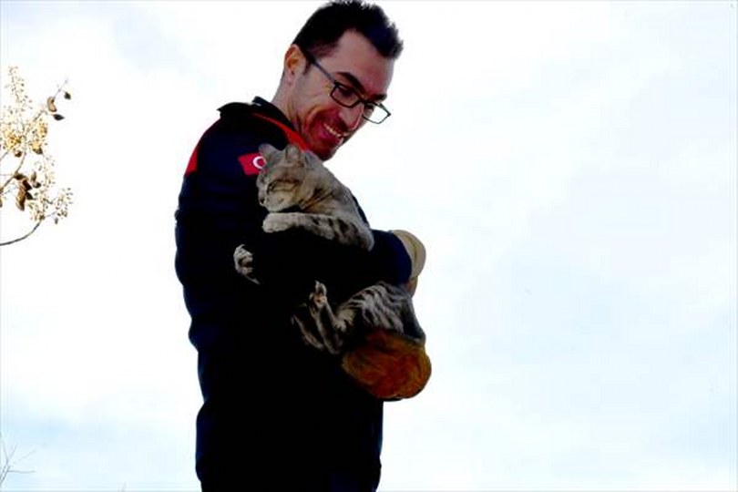 Zonguldak’ta ağaçta mahsur kalan kediyi itfaiye kurtardı