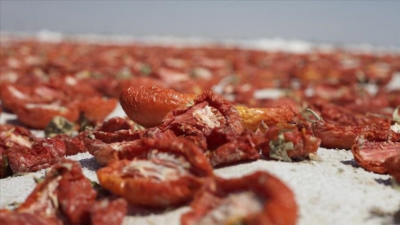 Türkiye’nin kuru domates ihracatı 127 milyon doları aştı