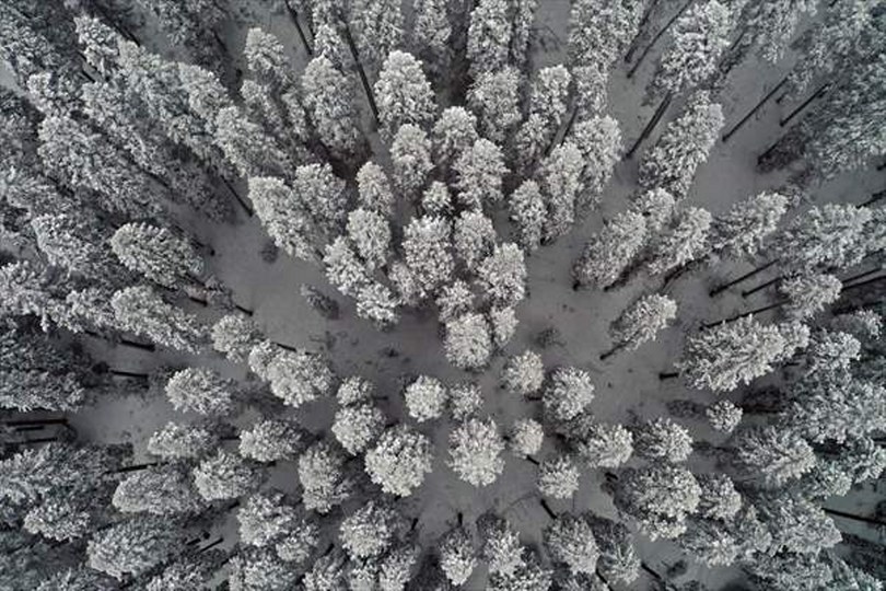 Karla kaplanan Ilgaz Dağı’ndaki orman dronla görüntülendi