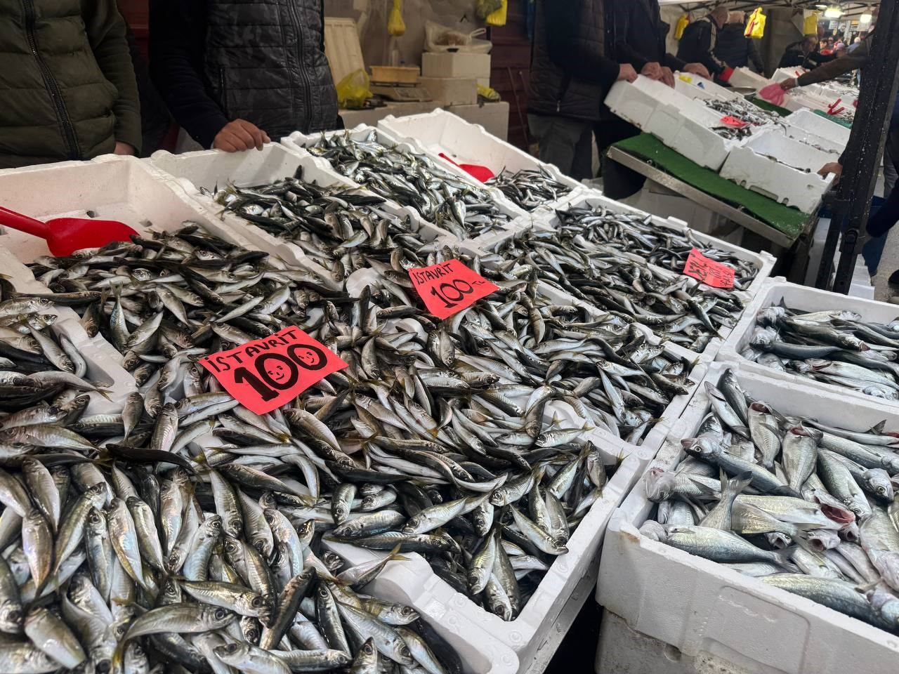 Zonguldak’ta istavrit tezgahları şenlendirdi