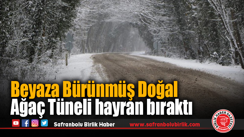 Safranbolu’da Karla Beyaza Bürünmüş Doğal Ağaç Tüneli hayran bıraktı