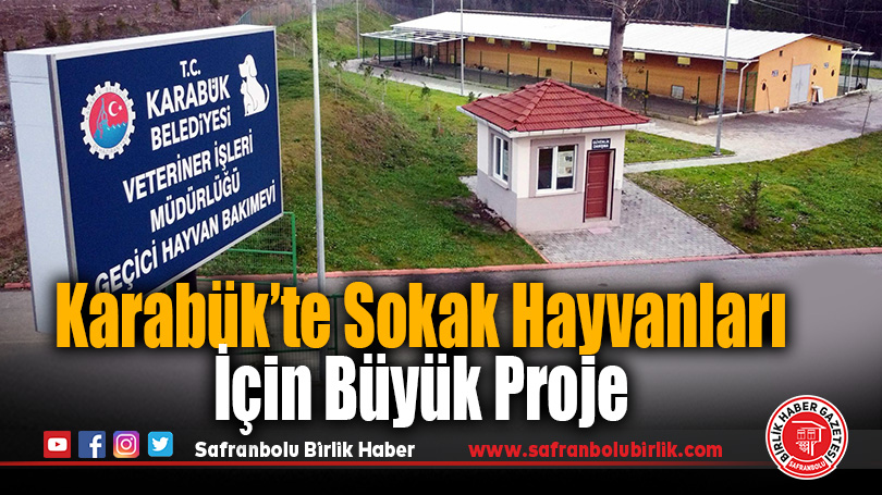 Karabük’te Sokak Hayvanları İçin Büyük Proje