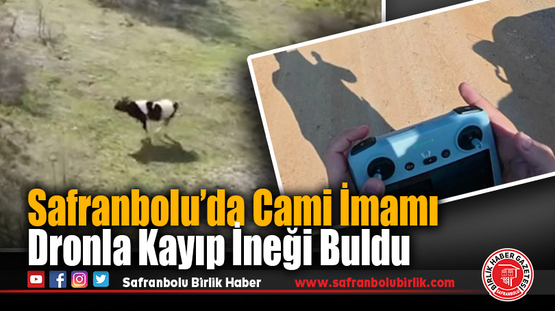 Safranbolu’da Kayıp İneği Cami İmamı Dronla Buldu
