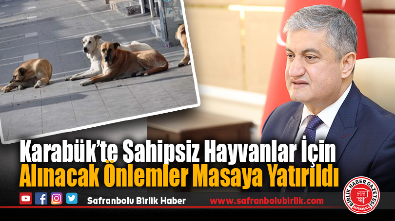 Karabük’te Sahipsiz Hayvanlar İçin Alınacak Önlemler Masaya Yatırıldı