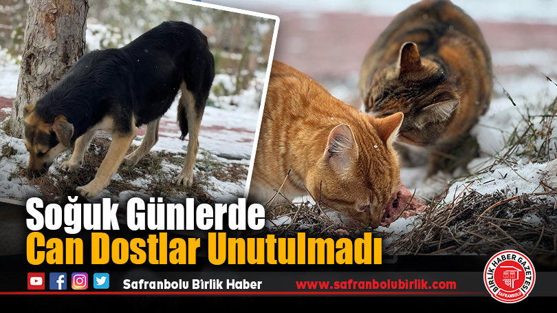 Soğuk Günlerde Can Dostlar Unutulmadı