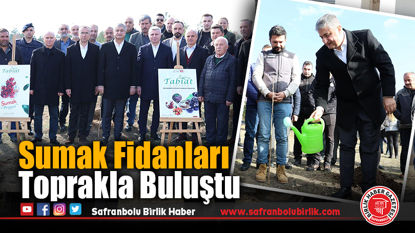 Sumak Fidanları Toprakla Buluştu