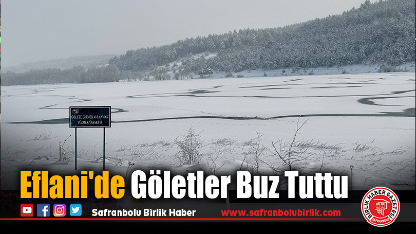 Eflani’de Göletler Buz Tuttu